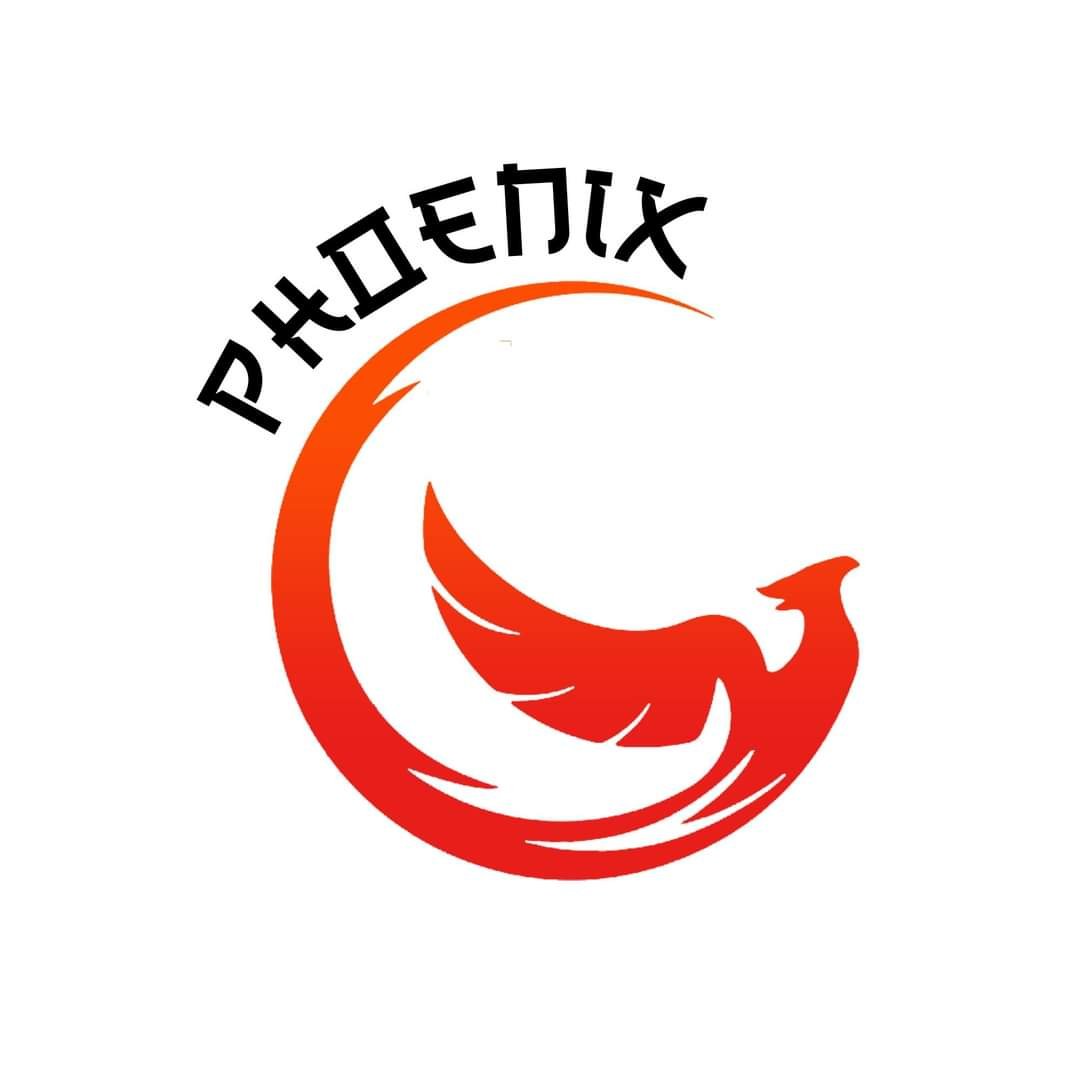 Phoenix Corporation